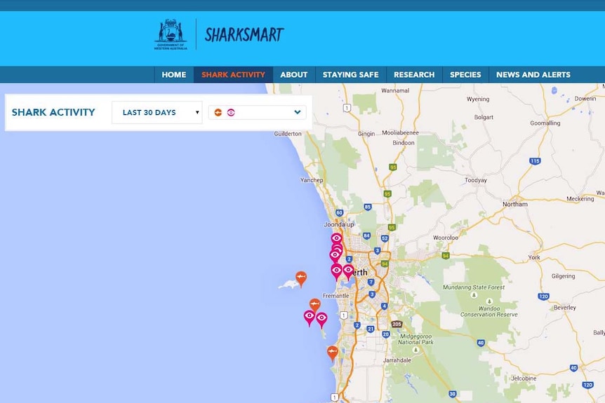 The Sharksmart website shows the latest information on reported sightings in Western Australia.
