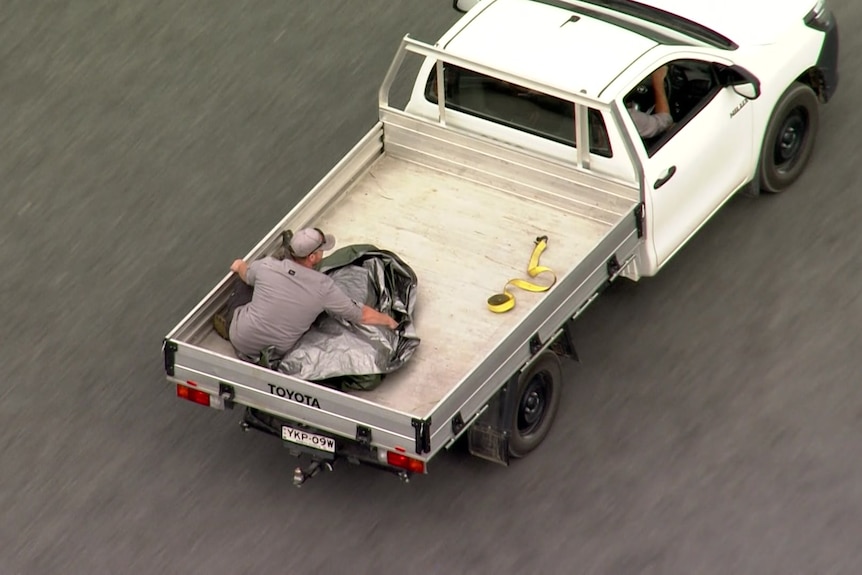 A man cradles an animal, which is wrapped in a tarpaulin, on the back of a ute.