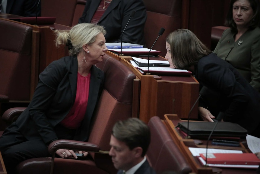 Perin Davey rests her chin on her desks as she leans forward to speak with bridget mckenzie