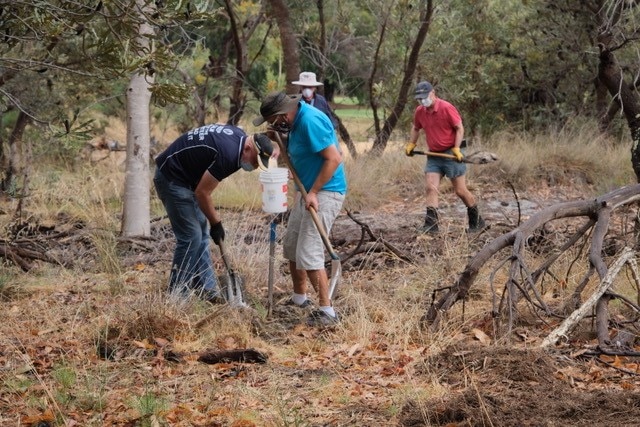 A group of people at work in bushland.