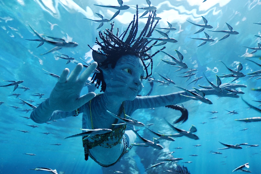 A blue Avatar animated character swims underwater with fish all around them
