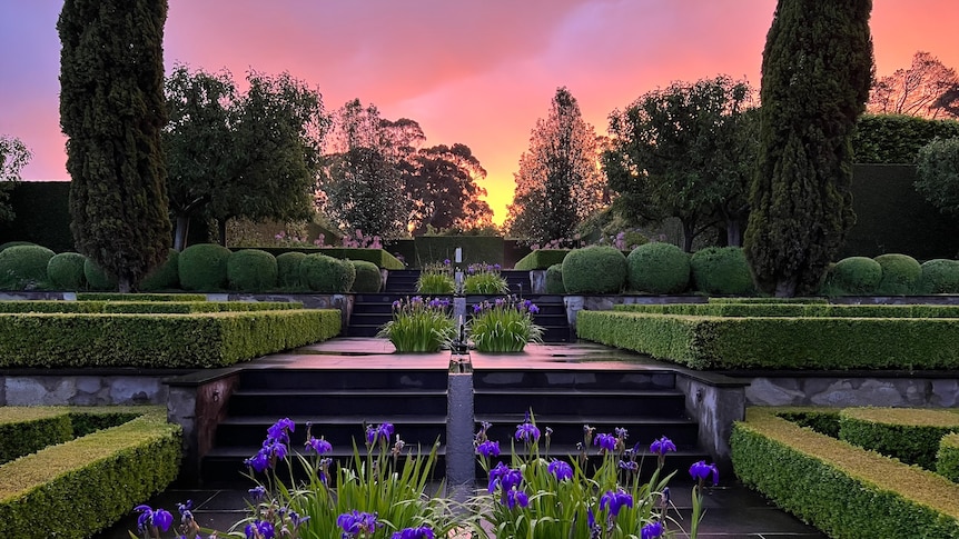A formal, multi-tiered garden is shown against a pink and purple sky at sunset.