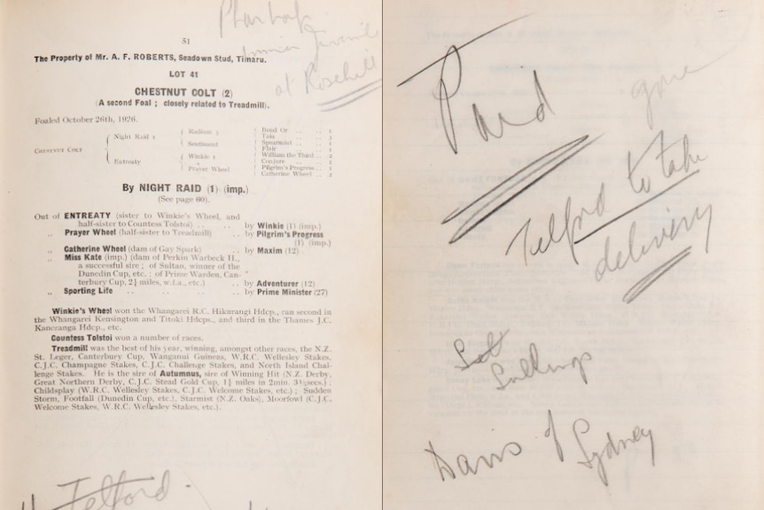 Pages from the Annual New Zealand Thoroughbred Yearling Sales catalogue documenting the sale of Phar Lap.