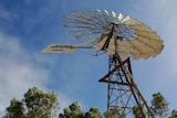A Southern Cross windmill