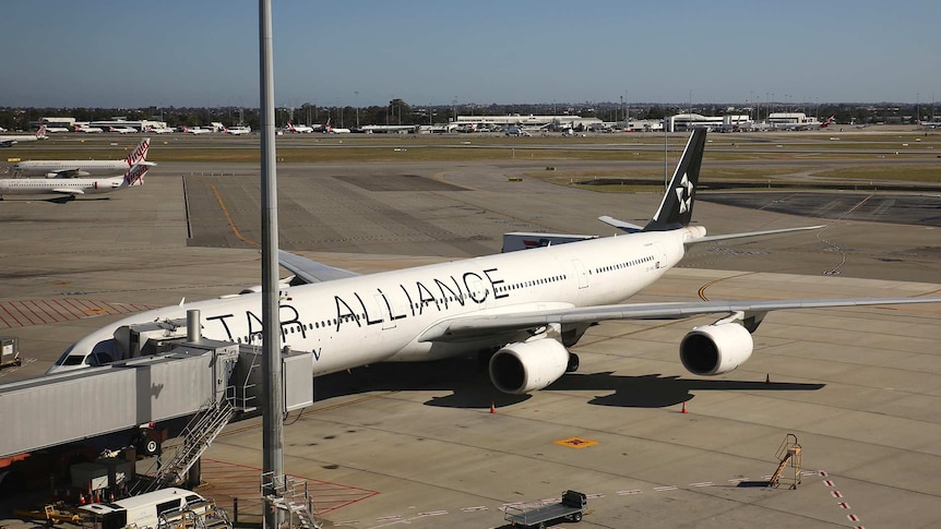 A Star Alliance plane on the tarmac at Perth International Airport under a blue sky.