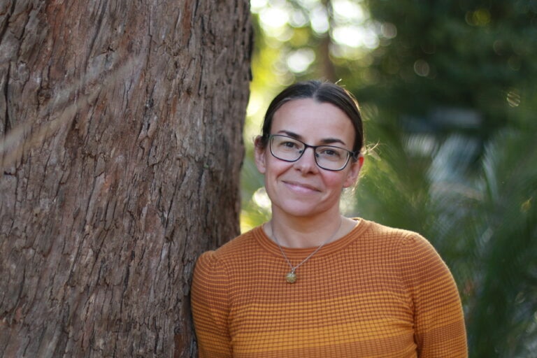 Genetic rescue helps struggling native plant species