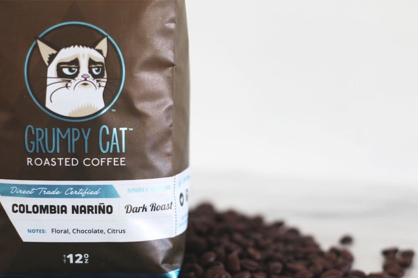 A picture of a bag of Grumpy Cat-branded roasted coffee surrounded by roast beans.