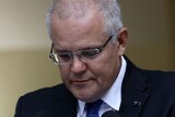 Scott Morrison looks down at his notes while addressing a press conference.