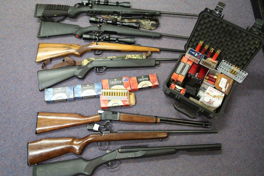 Port Australia has more guns than before massacre, University of Sydney - ABC News