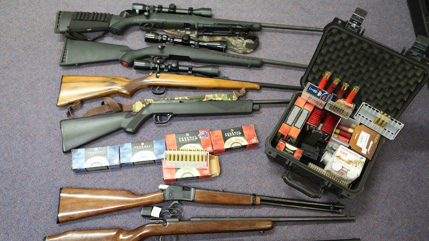 Guns and ammunition seized during raids on the NSW mid north coast