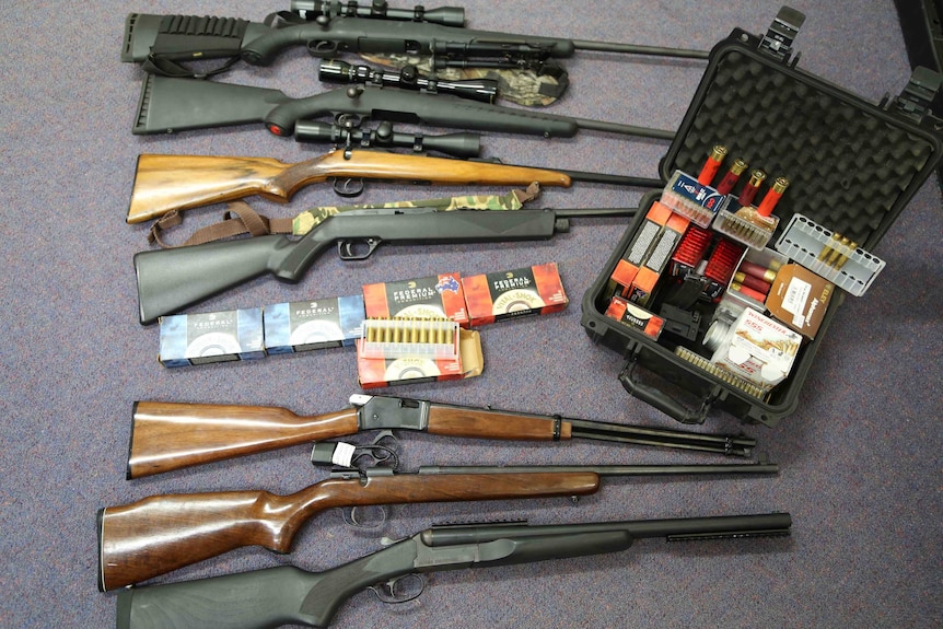 Guns and ammunition seized during raids on the NSW mid north coast