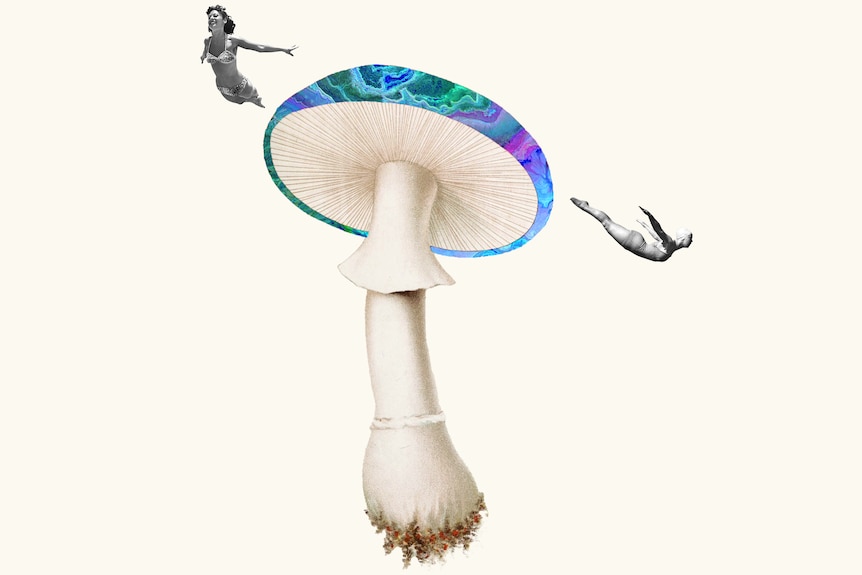 Collage of black and white photographs of two women diving off the top of a large multi-coloured mushroom illustration.