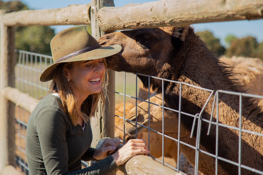 A woman in a hat and green shirt laughs while a camel nuzzles her through a fence.
