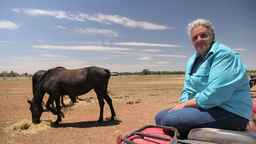 A woman sits on a bike in a bare paddock while horses east hay off the ground behind her
