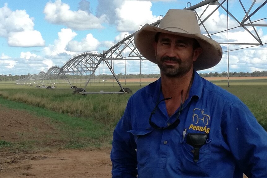 Wheat farmer Dominic Penna in front of his crop, wearing a blue long-sleeved shirt and cowboy hat