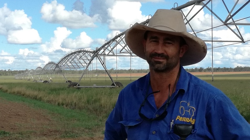 Wheat farmer Dominic Penna in front of his crop, wearing a blue long-sleeved shirt and cowboy hat