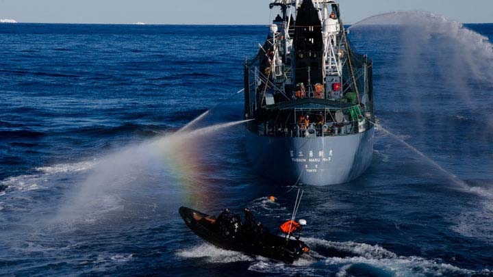 The Yushin Maru fires high-pressure hoses at a Sea Shepherd boat