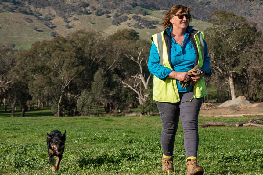Janice Newnham wears a blue shirt, high-vis vest, work boots, walking through a paddock with her working dog.
