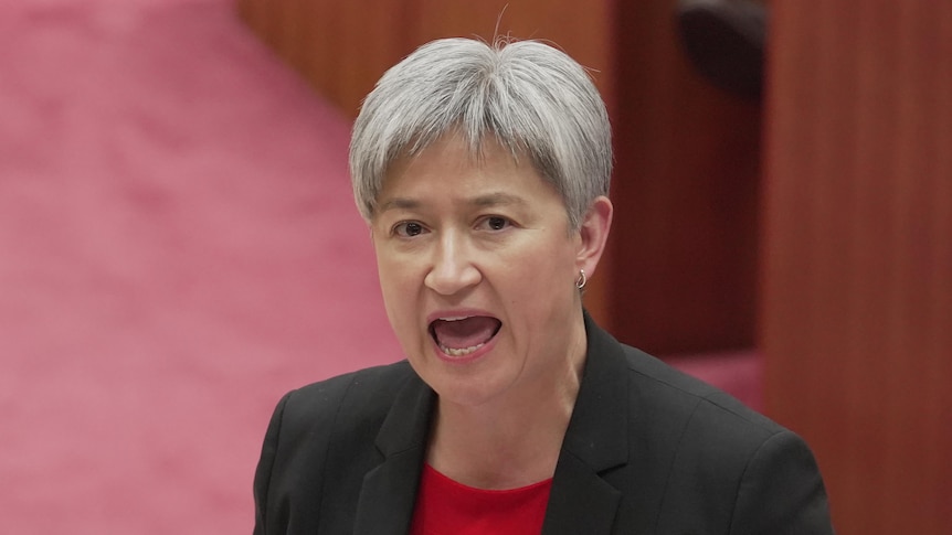 Penny Wong talking during Question Time. 