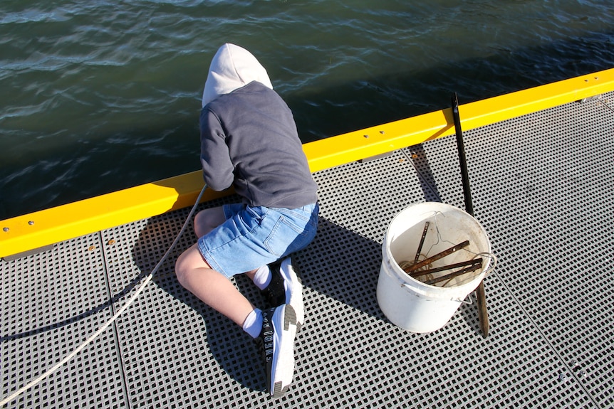 A boy in a grey and white hoodie, blue denim shorts, shoes, leans over the jetty, bucket with metal rods in it next to him.