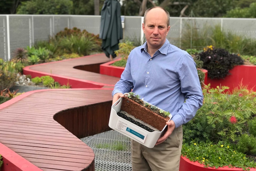 Associate Professor Nick Williams holds a model of the university's green roof substrate.