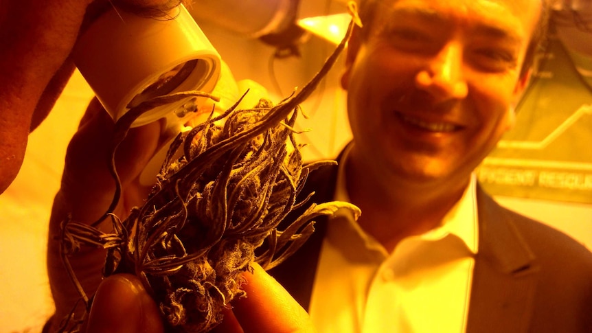 John Davis and Jake Dimmock examine a marijuana plant at the NPRC