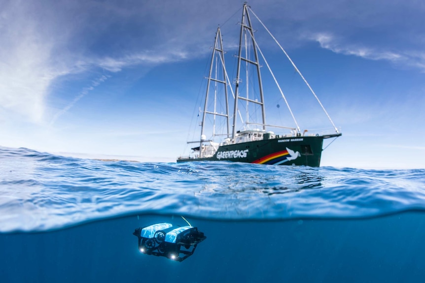 A underwater ROV is seen with the Rainbow Warrior ship in the background.