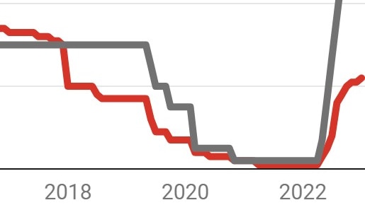 A graph showing a grey line racing ahead of a red one