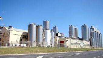 WCB dairy factory