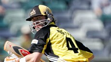 Damien Martyn in action for WA v Vics