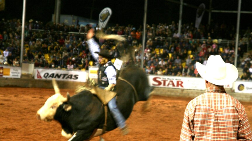 File photo: Bull rider