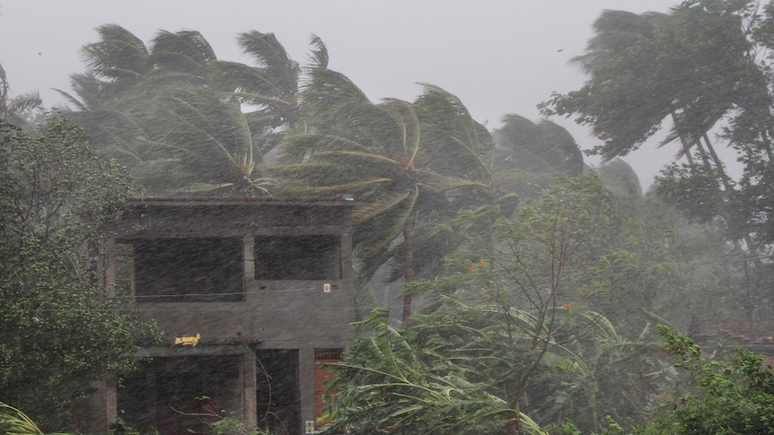 A house sits among trees being bent by strong winds and rain as a cyclone hits