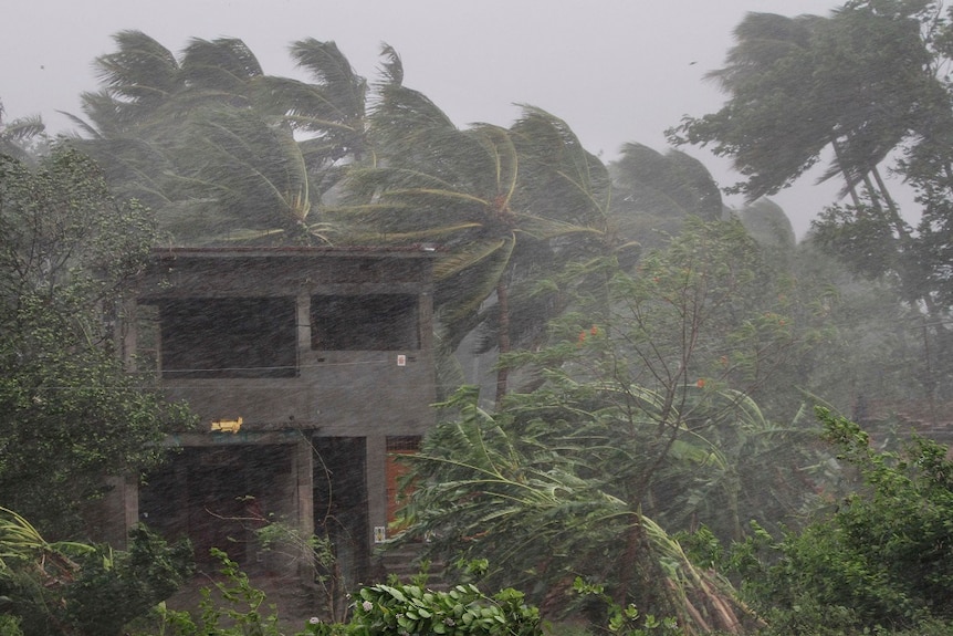 A house sits among trees being bent by strong winds and rain as a cyclone hits