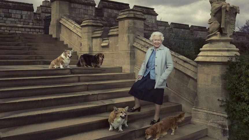Queen Elizabeth II birthday photo with corgies and dorgies