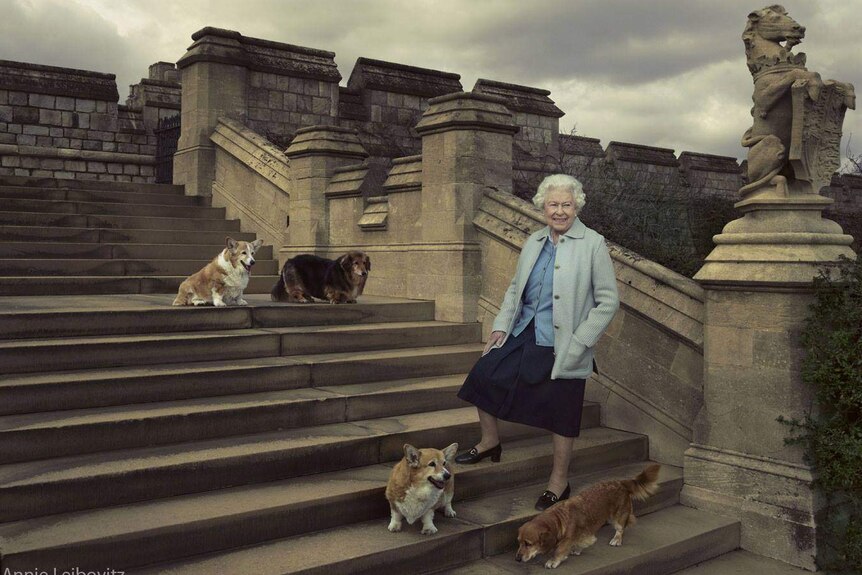 Queen Elizabeth II birthday photo with corgies and dorgies