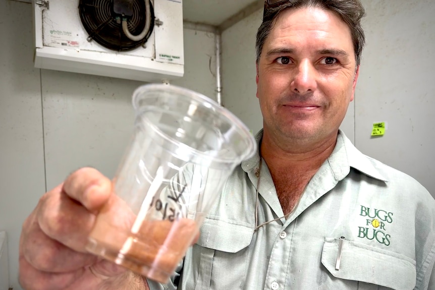 A man holds up a glass cup with red brown insects in the bottom of it.