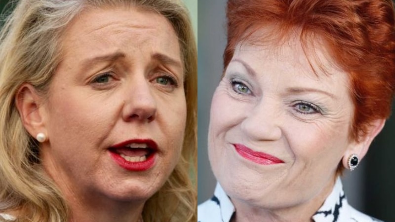 Bridget McKenzie (left) and Pauline Hanson (right).