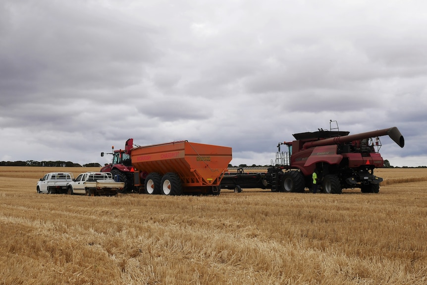 Header and chaser bin parked up.