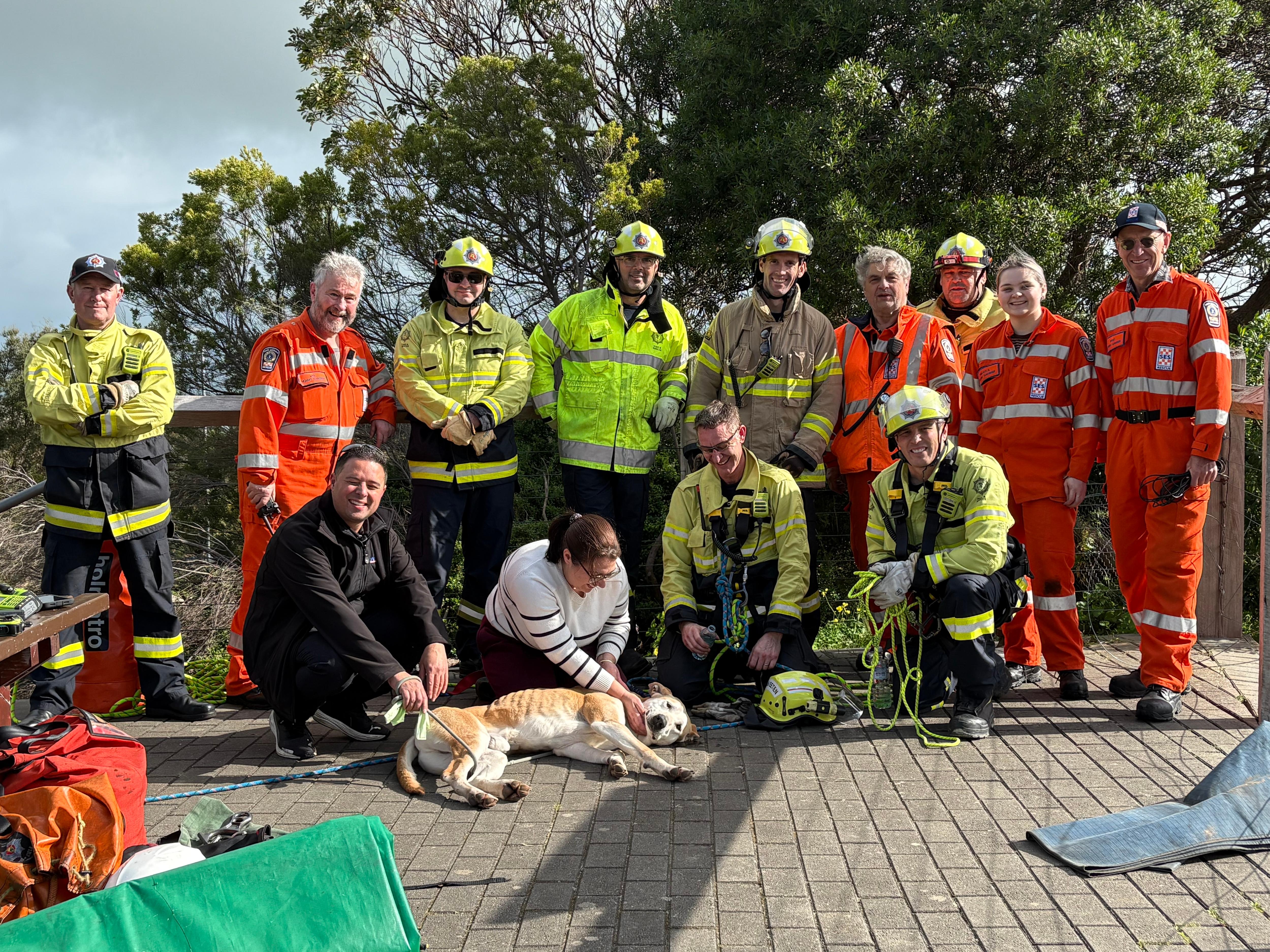emergency service workers standing behind owners patting a dog on a footpath