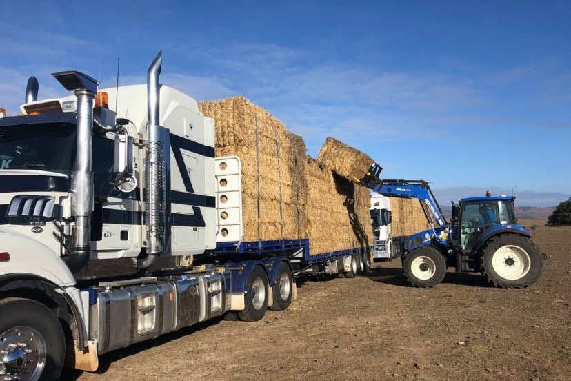 A b-double truck filled with hay in a dry paddock.