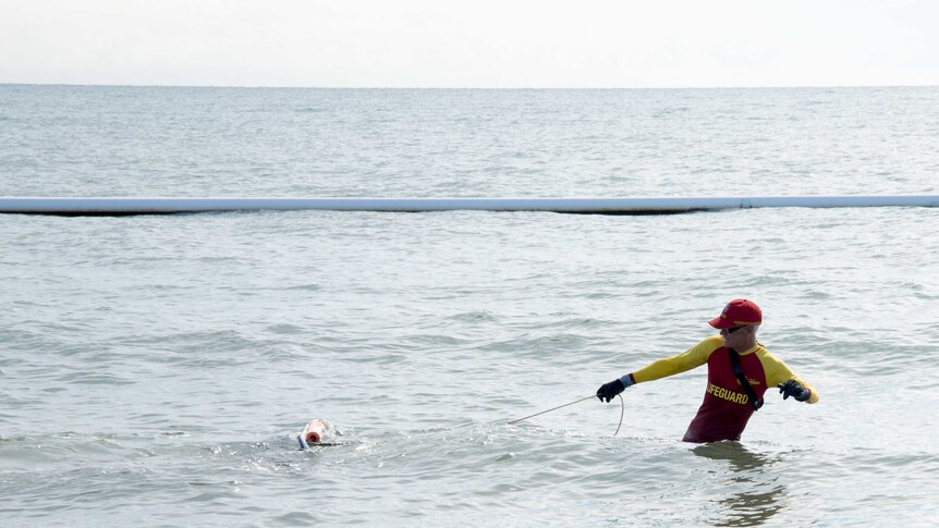 A life guard drags a stinger net through the water inside a swimming enclosure.