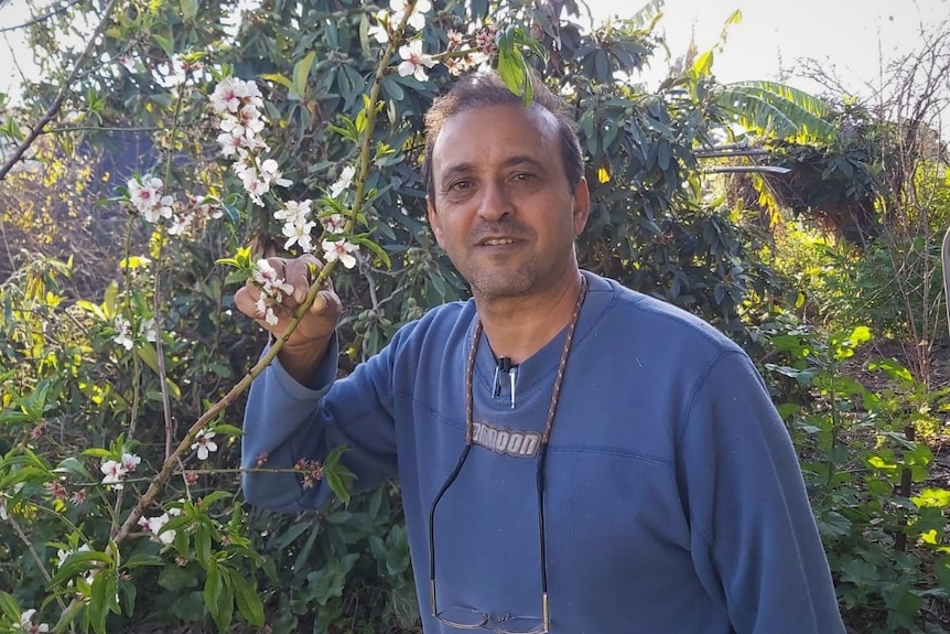 An Arab man in a blue jumper stands in a blossoming bush, with a slight smile on his face