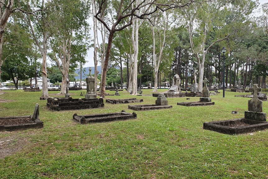 A cemetery with old graves in grassy land, trees tower, cloudy sky.