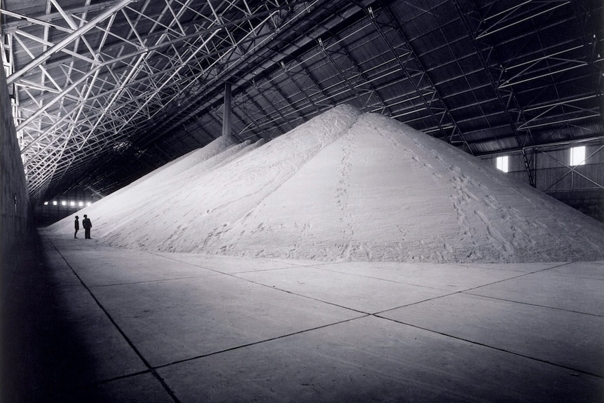Two people stare at large piles of sugar in warehouse. 