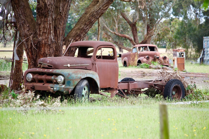 Two rusty cars in a field