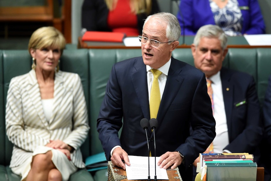 Malcolm Turnbull stands at the dispatch box in Parliament House.