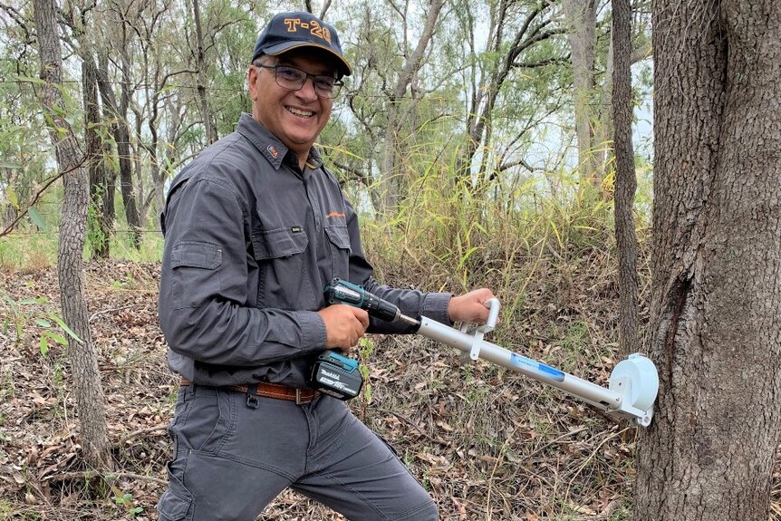 Professor Victor Galea treating an invasive tree species with a drill and herbicide capsule