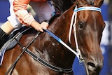 Black Caviar ready for Sangster Stakes
