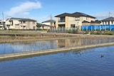 Stormwater ponds in a new housing development.