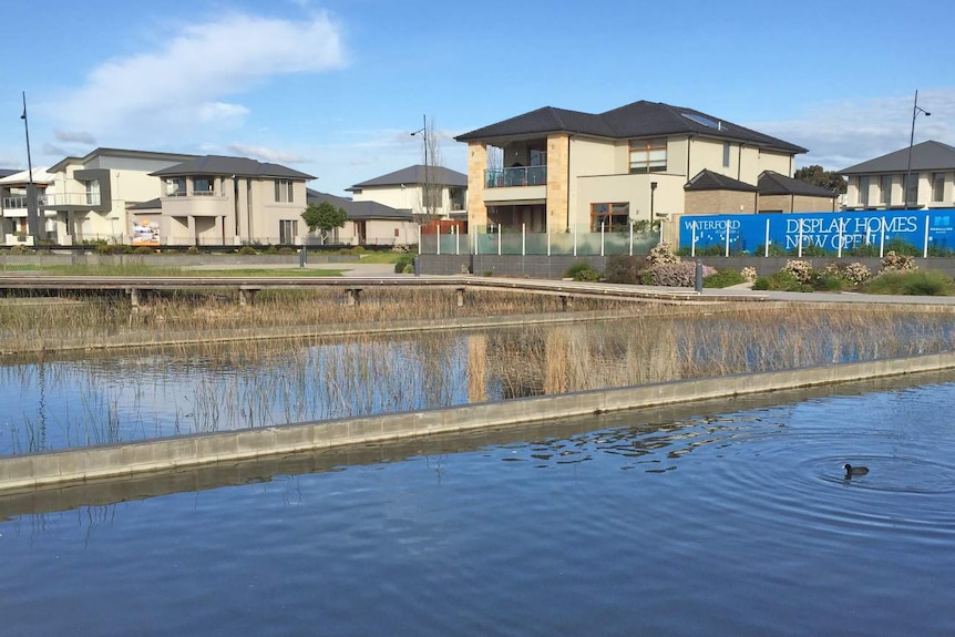 Stormwater ponds in a new housing development.
